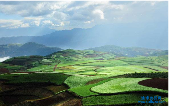 污染修復(fù)工程設(shè)計資質(zhì)需要配備哪些人員