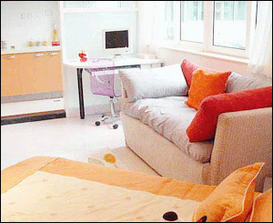 白領(lǐng)單身公寓:小戶型效果圖欣賞