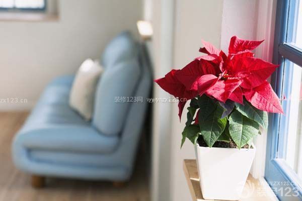 新年裝修風(fēng)水注意飾品的選擇與擺放